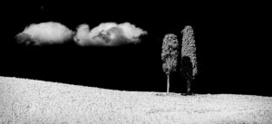 1st-17 Points-Trees on a Hillside-Elizabeth Restall ARPS