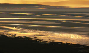 1st - Low tide - Mike Pritchard