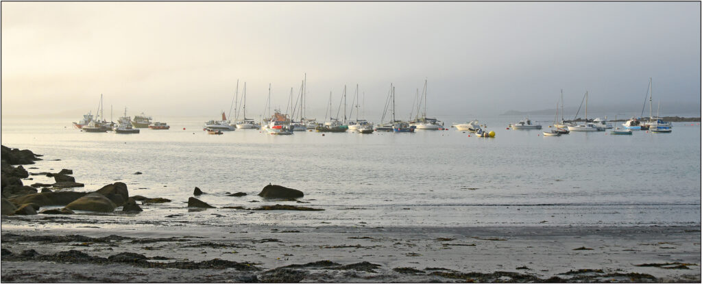 D1-2nd-19-Points-Boats-at-Rest-Brian-Wetton