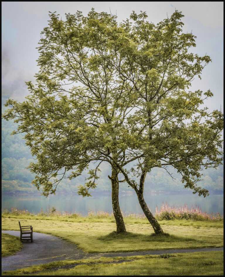 D1- A good place to sit-George Ryske