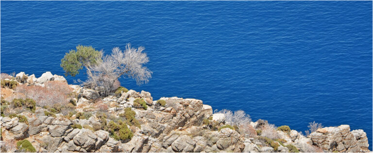 D1- The Blue Aegean-Christine Wetton