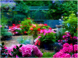 D2- 18 Points - one summers day in the rain-Gloria Pritchard