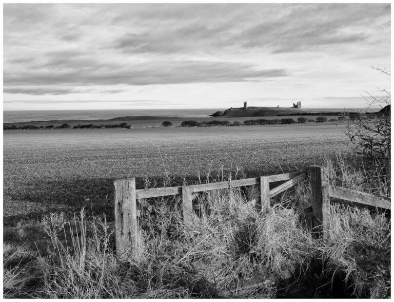 17 Points -Dunstanburgh Castle-Steve Daniell