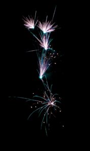 18 Points - Bouquet of Fire-Marjory Wright