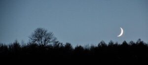 18 Points -Crescent Moon over Westridge Woods- Marjory Wright