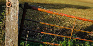 D1- Rusty Gate-Elizabeth Restall ARPS