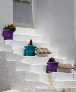 D1 - STEPS -Edwin Nuttall