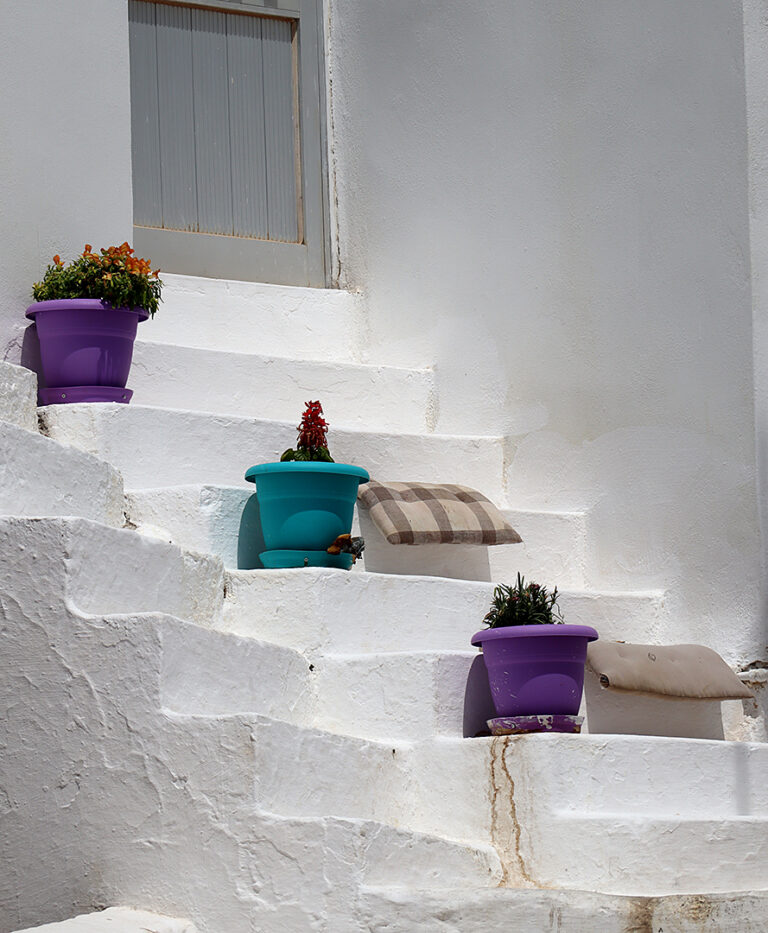 D1 - STEPS -Edwin Nuttall