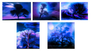 2nd - Trees- Jenny Fryer LRPS