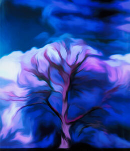 2nd - 20 Points- Trees-2- Jenny Fryer LRPS