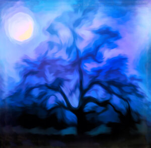 2nd - 20 Points- Trees-4- Jenny Fryer LRPS