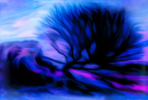 2nd - 20 Points- Trees-5- Jenny Fryer LRPS