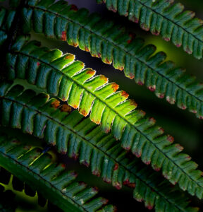 September Morning Light-1-Don Grundell