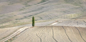 3rd - 17 Points - Ploughed Fields -Elizabeth Restall ARPS