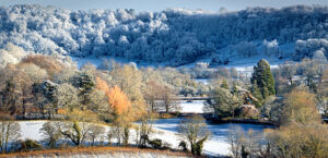 3rd 19 Points-Signs of Winter-Christine Ryske