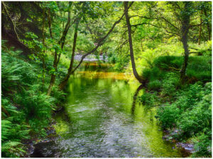 18 Points - Lydford Gorge - David Brookes ARPS