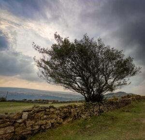 2nd 19 Points - Dartmoor Scene - Don Grundel