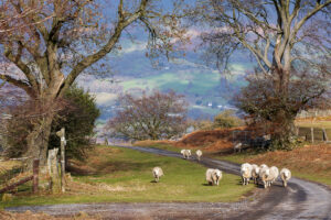 1st 20 Points-D1-Brecon Beacons-Steve Varman