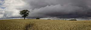 18 Points - Storm Brewing - Christine Ryske