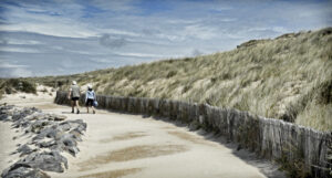 Leaving the Beach-Christine Ryske