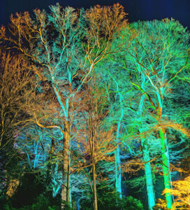 3rd 19 Points-Enchanted Wood Westonbirt-George Ryske