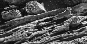 2nd-19 points -Breakwater Erosion-Brian Wetton
