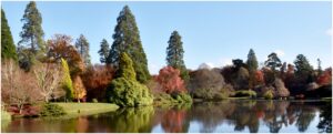 18 Points - Autumn in Sheffield Park - Joan Scott