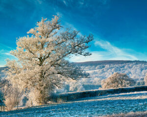 18 Points - Frosty Morning - David Brookes ARPS
