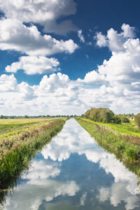 19 Points - Wickham Fen - George Ryske