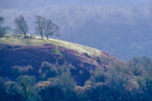 19 Points - Winter Light on Dowham Hill - Bill Beere