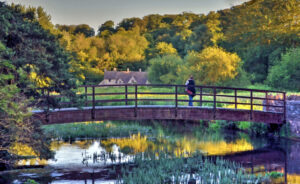D2 - 19 Points - Bibury - Barbara Gibbons
