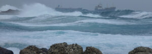17 Points - The Power of the Sea- Jane Martin