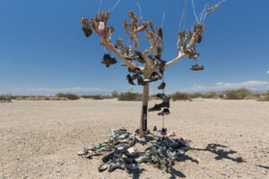 D1 - 15 Points - Sole Tree