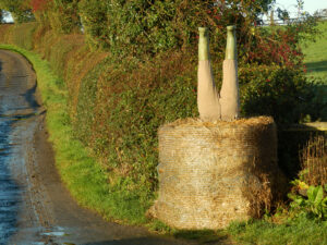 D1 - 16 Points - If you upset the farmer you could end up like this