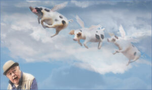 D1 - 18 Points - Pigs might fly - Jenny Fryer LRPS