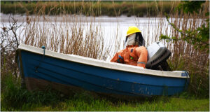 D2 - 16 Points - The ancient mariner
