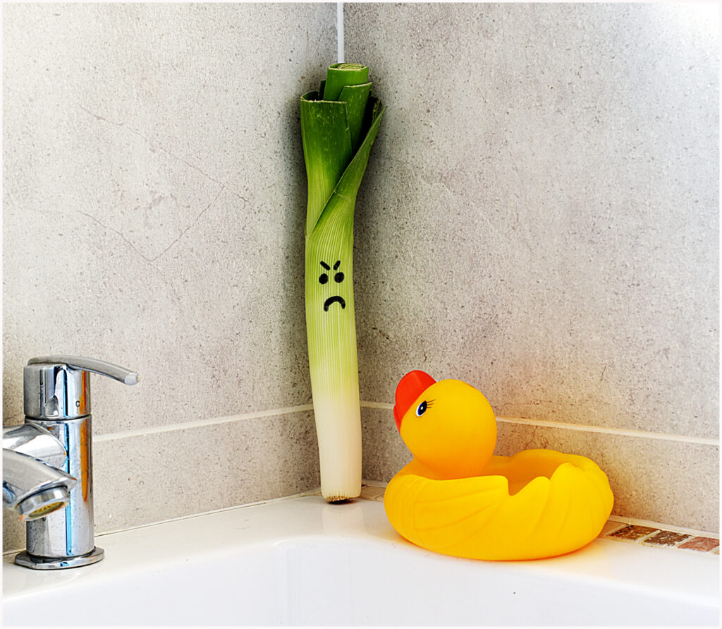 D2- 1st - 20 Points - There`s a serious leek in the bathroom - Joan Scott