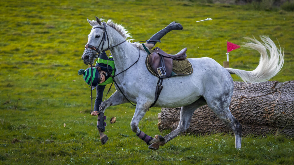 Second - 20 points- Side saddle - Barry Wilson