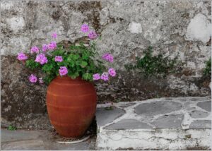 18 points-Hiding the Cracks-Marjory Wright