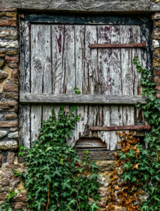 18 Points - Barn Door - George Ryske