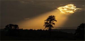 Heavenly beam