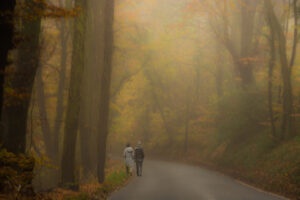 Autumn Walk