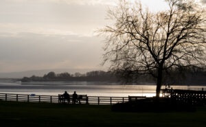 Evening Contemplation
